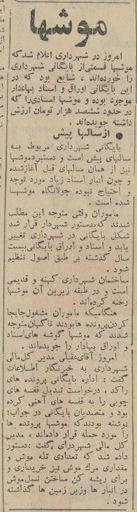 موش‌ها بایگانی شهرداری تهران را خوردند!