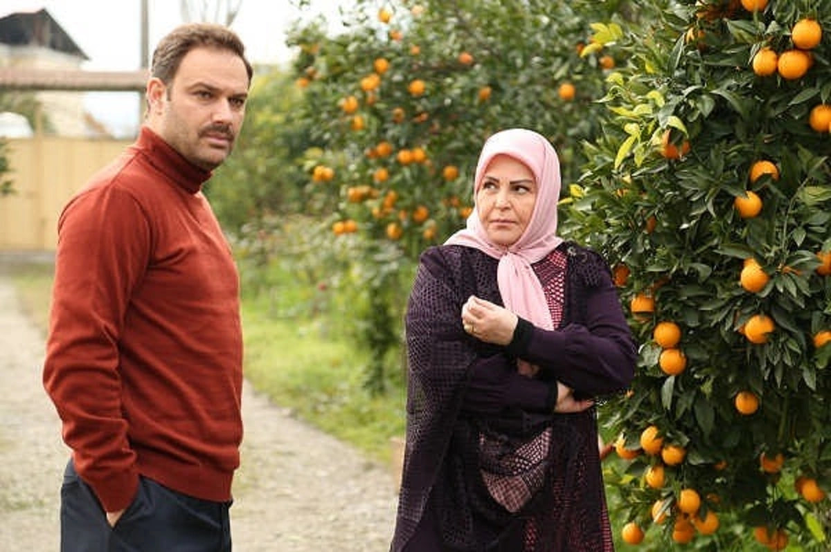 photo_2025-11-01_22-00-31