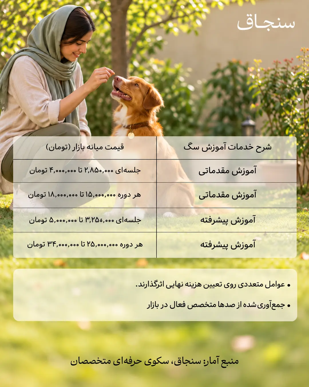 sanjagh-dog-training-no-box