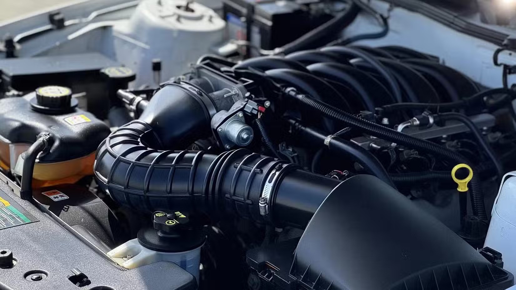 20fastest-used-car-for-20-000-2007-ford-mustang-gt-coupe-engine-ezgif.com-avif-to-jpg-converter
