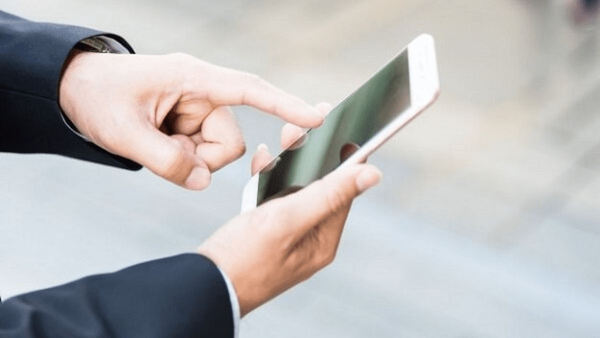 e3172355b12447fc8df0ebe1962d3788