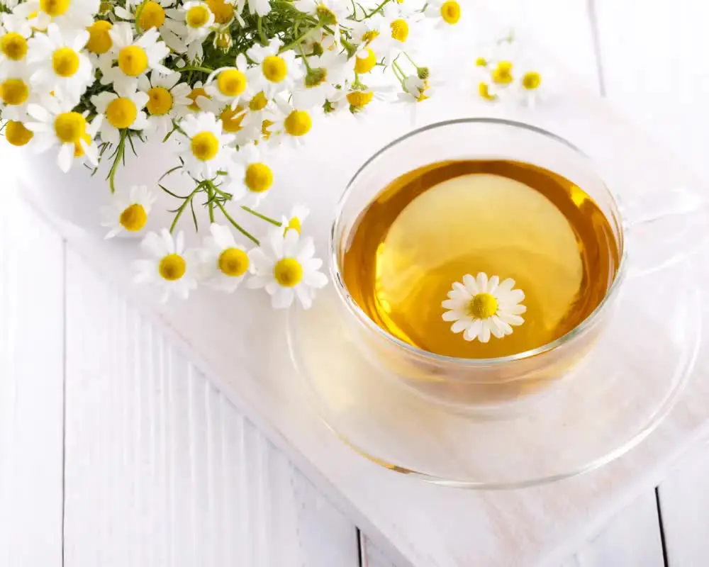 chamomile-tea-properties