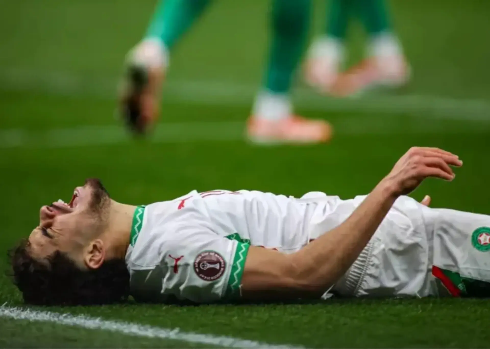 InShot_20260119_013734398