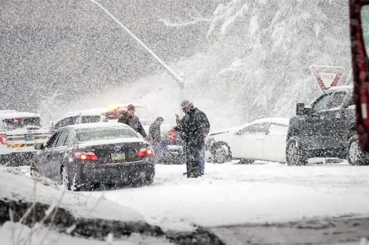 photo_2026-02-10_18-24-36