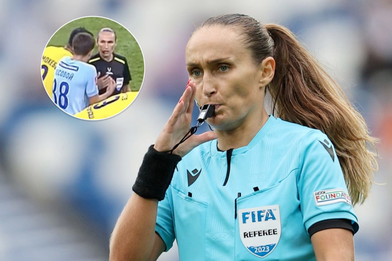 mohammad_mohebi_touching_referee_russia