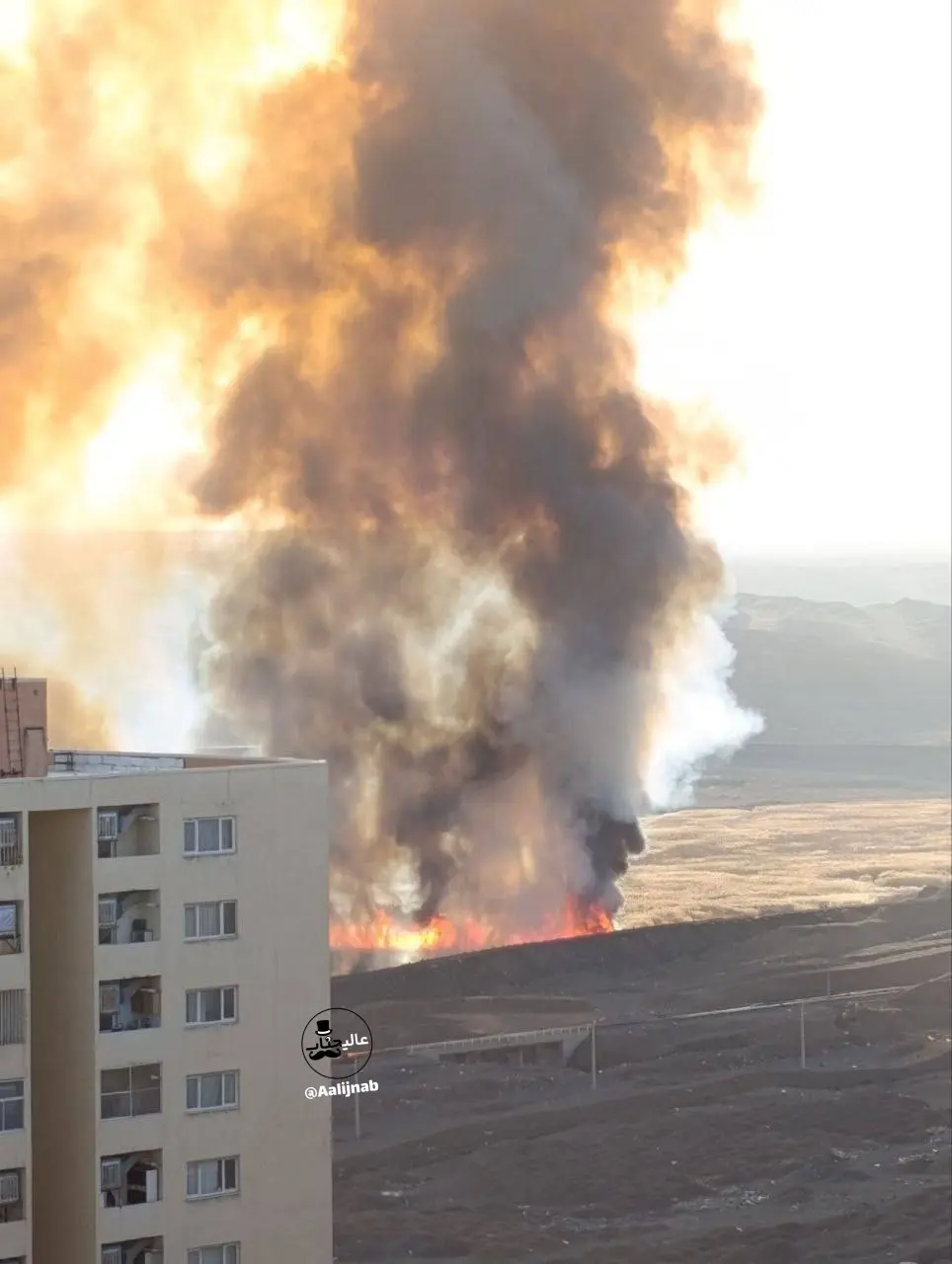 photo_2026-02-18_18-22-34 (2)