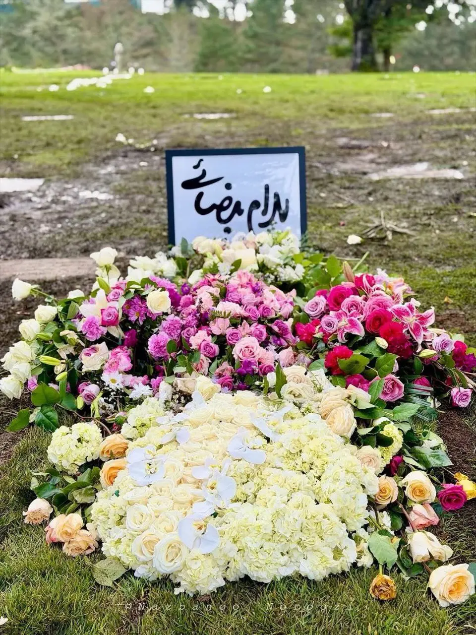 photo_2026-01-04_23-20-33