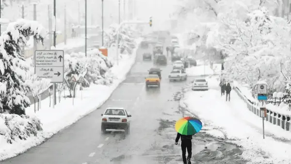 5135147e264c47c0b580fba0f31f787f