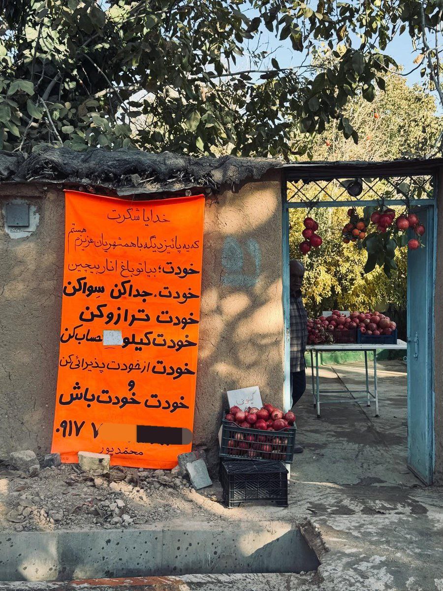 photo_2025-11-20_22-07-51