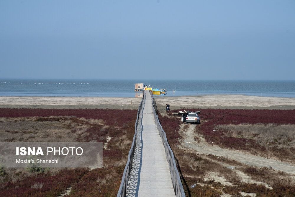 photo_2025-11-30_09-21-13