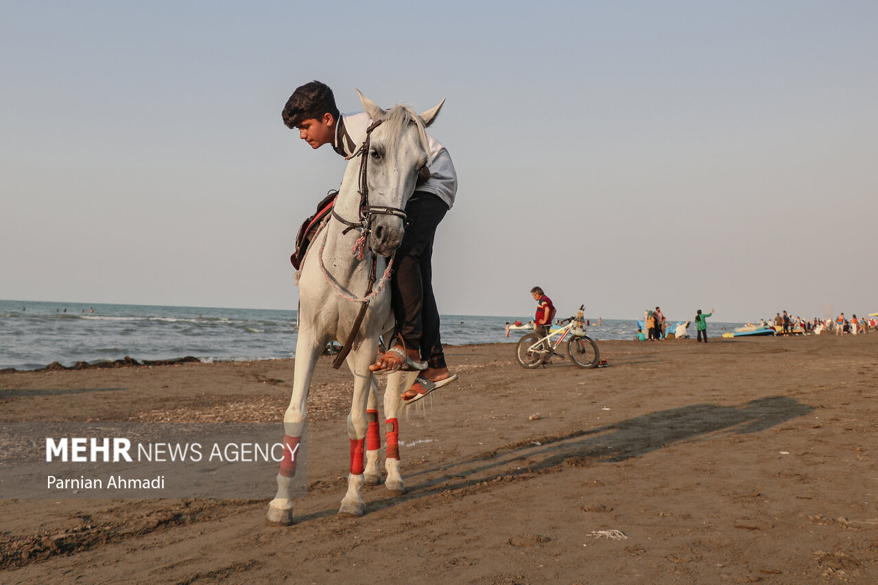 «ساحل خان»، قلب یک ایران را تسخیر کرد