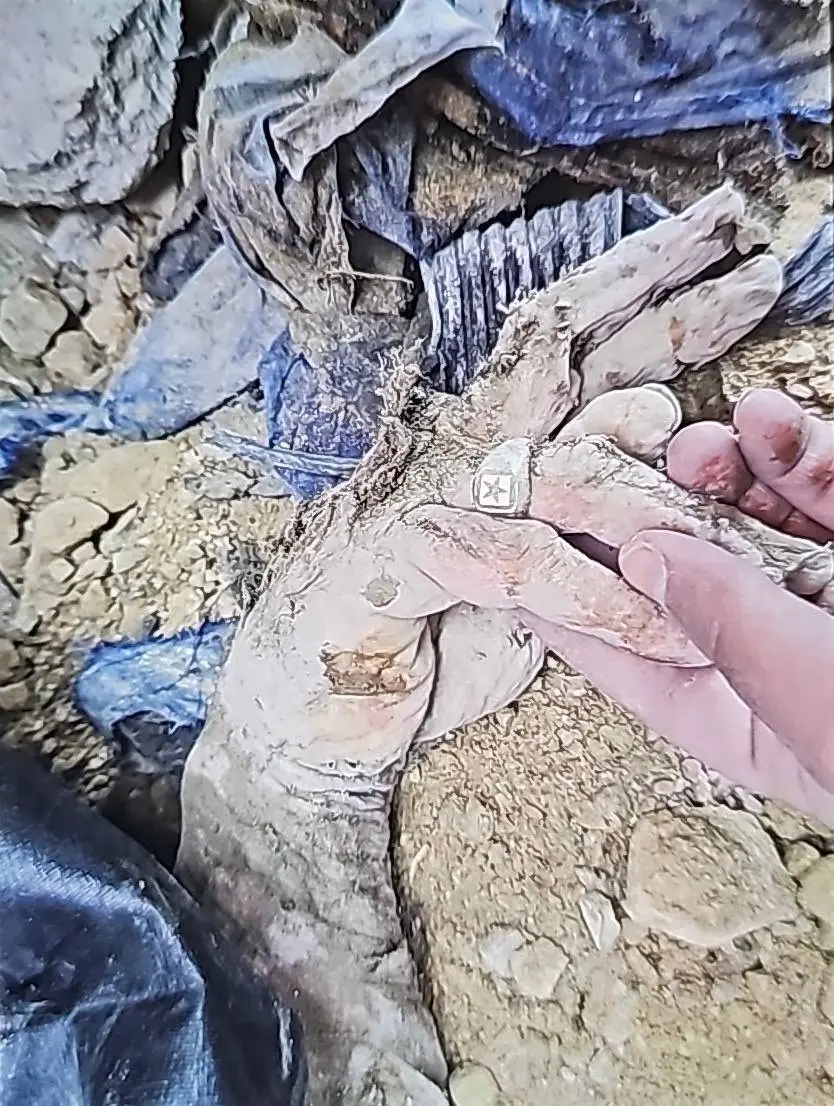 14a395f6-2bb1-4bb2-afd7-0348a91bb9b5