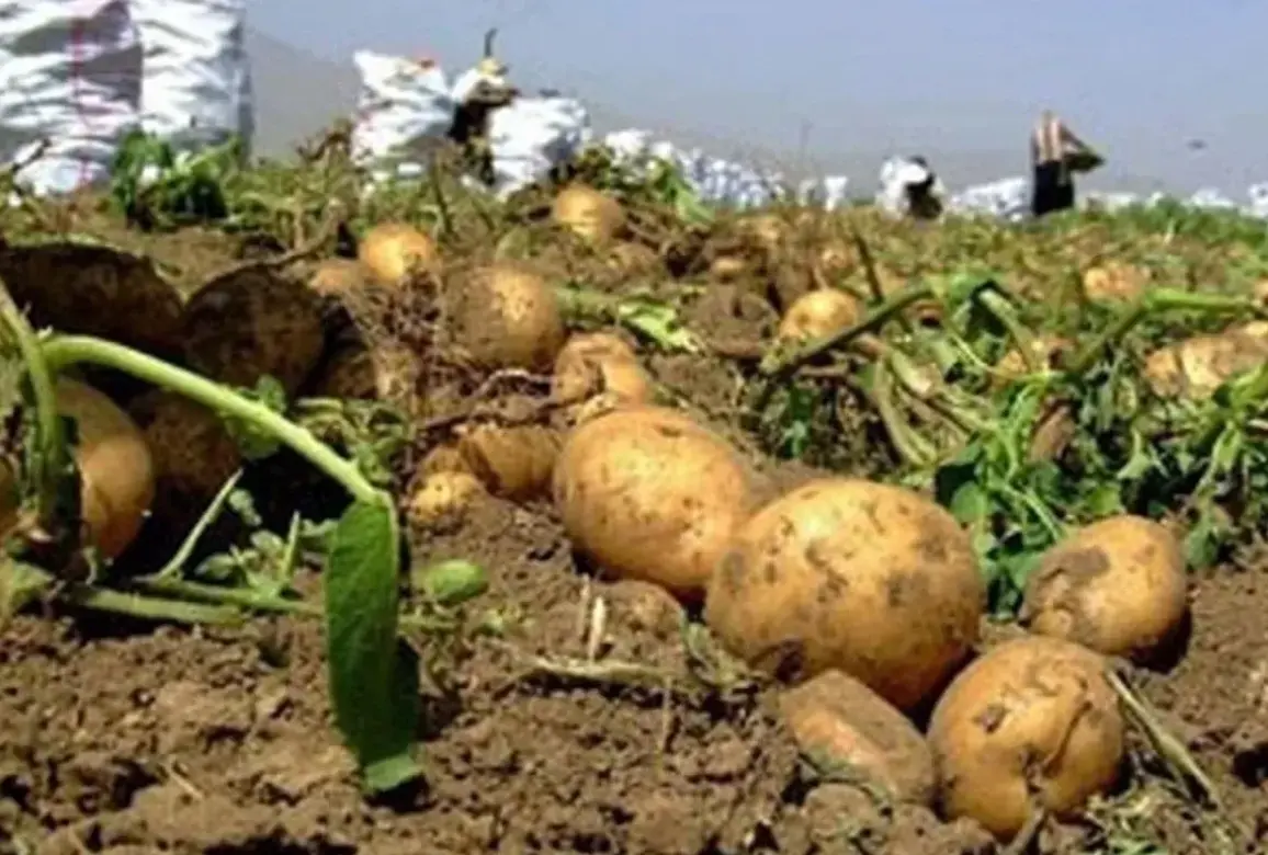 712c7caa-138a-44b9-b150-4ee3e31d4959 (1)