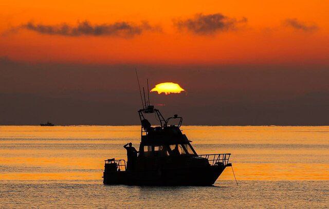 f1e55135-fb4c-4018-8261-a78dd520022e