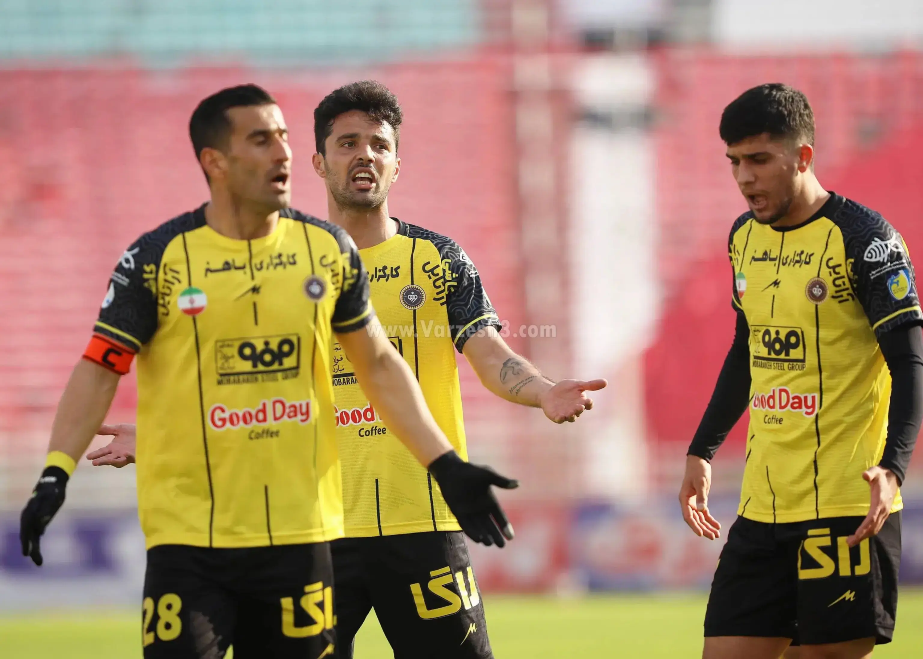 InShot_20260204_000946613