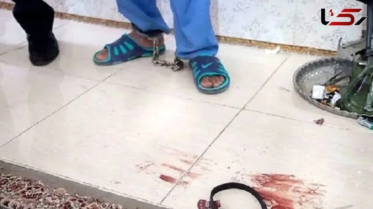 photo_2025-12-08_00-44-45