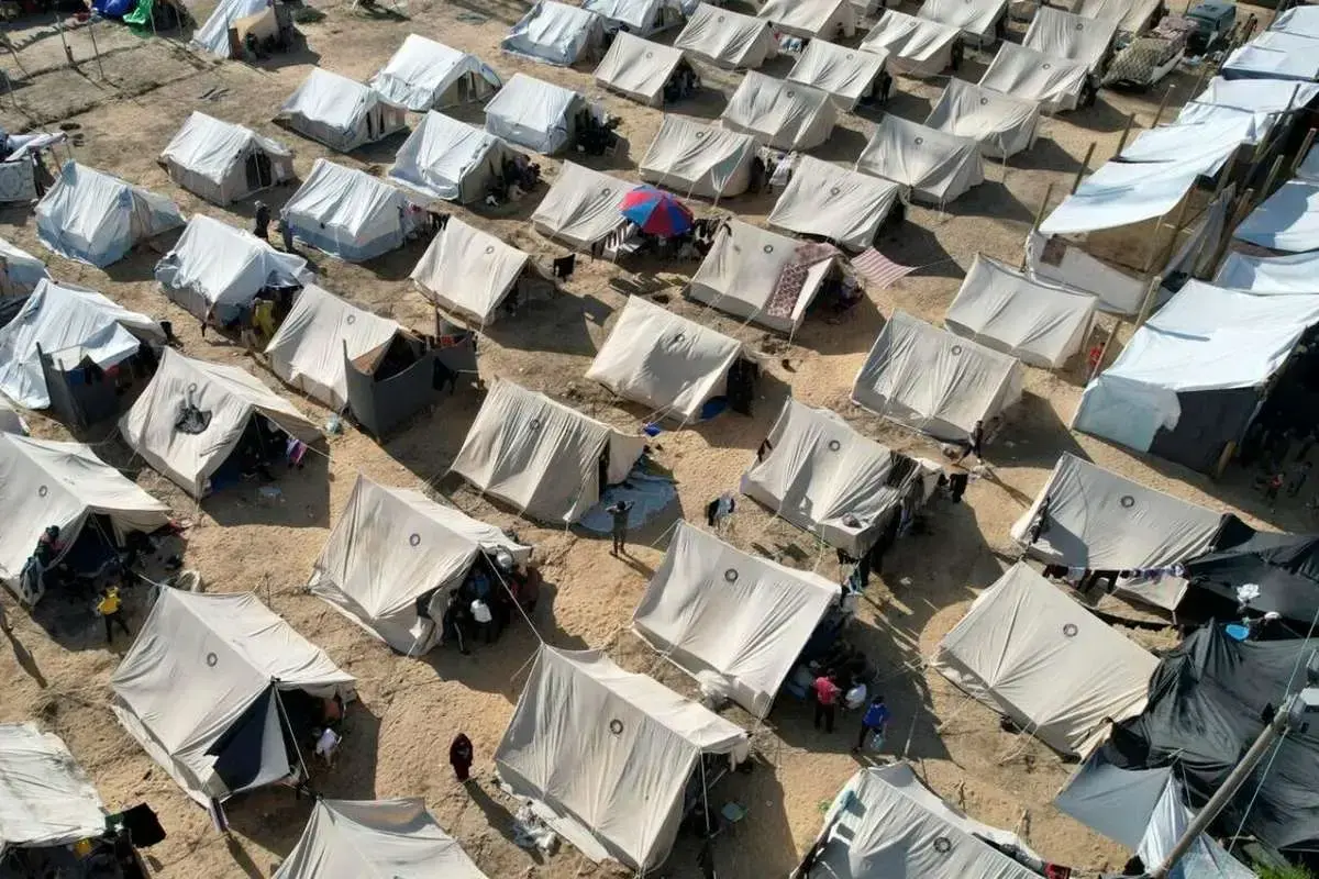 ععععععععععع