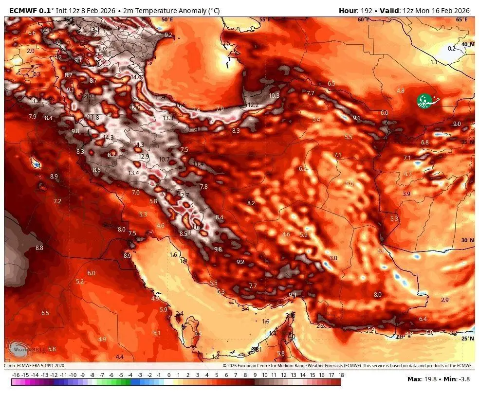 photo_2026-02-09_00-46-41