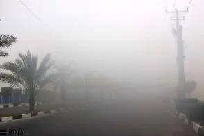 پدیده «سونای بخار» در جزیره کیش