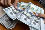 پیش‌بینی جالب درباره قیمت دلار در روزهای آینده