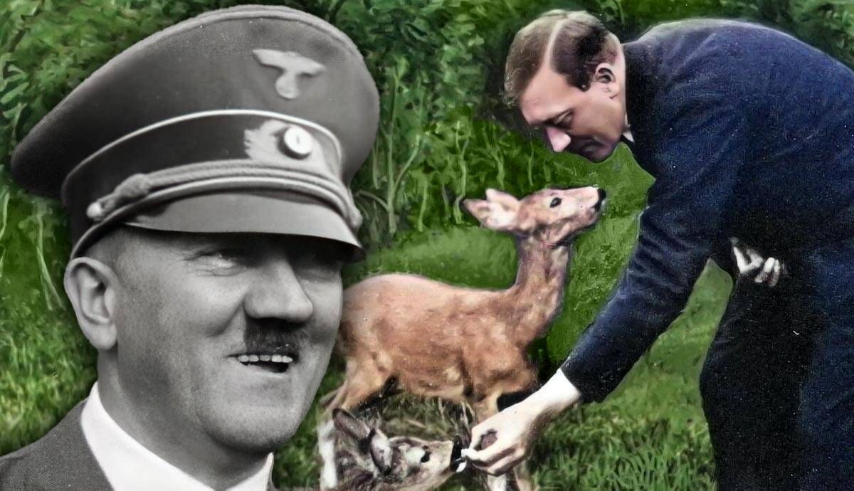 ۱۵ حقیقت شگفت انگیز درباره آدولف هیتلر
