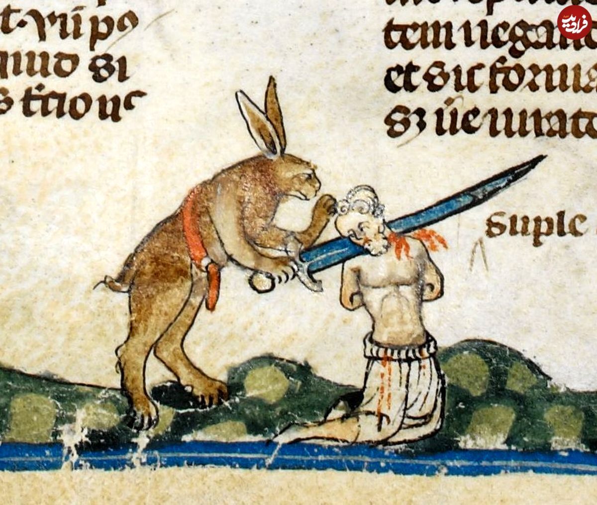 کشف «خرگوش قاتل»