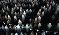 عکاس ایرانی با عکس‌هایش جهان را مجذوب کرد