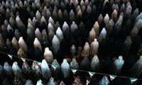 عکاس ایرانی با عکس‌هایش جهان را مجذوب کرد
