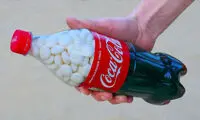  انفجار عجیب گاو صندوق با نوشابه و قرص نعنا!