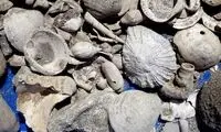 کشف گنجینۀ طبیعی سه میلیون ساله در حین حفاری فاضلاب