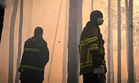 آتش‌سوزی گسترده در منطقه ممنوعه چرنوبیل