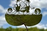 تصاویری زیبا و حیرت‌آور از هنرنمایی روی برگ درختان
