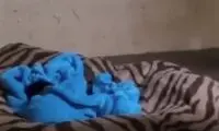 لحظه‌ احساسی از واکنش مادر به زنده‌شدن فرزندش