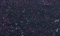 نمایی از مصلای تهران پیش از اقامه نماز 