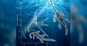  فسیل هیولای دریایی ۲۵۰میلیون ساله در چین 