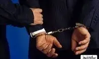 تارزان ایرانی بازداشت شد!