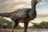 ردپای بزرگترین پرنده شکارچی تاریخ کشف شد