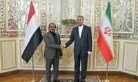 تقدیر امیرعبداللهیان از موضع مقتدرانه یمن 