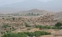 واکنش به فیلم جابه‌جایی روستایی‌ها با سیم بکسل