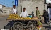  انگلیسی حرف زدن یک دستفروش بلوچ وایرال شد