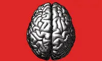 حیوان مخفی شده در تصویر را پیدا کنید