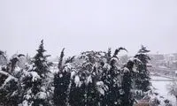 سکوت زمستان در گیلان شکست