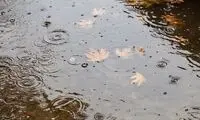 پیش‌بینی هواشناسی درباره بارش شدید باران 