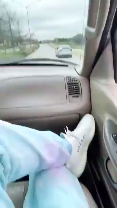 ویدئویی عجیب از راندن تسلا توسط یک سگ!
