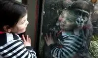 راز منحصر به‌فرد بودن انسان کشف شد 
