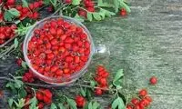 این میوه پاییزی عفونت‌ ریه را درمان می‌کند