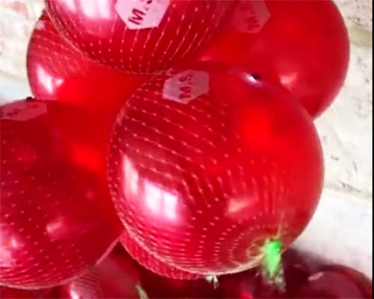 وقتی توپ پلاستیکی تمیزتر از غذای هندی ساخته میشه!
