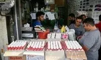 قیمت هرشانه تخم مرغ چند؟