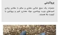 اقدام عجیب سیما بعد از حشره‌انداختن به جان مردم