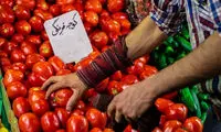 آقای رئیسی! از قیمت گوجه فرنگی خبر داری؟